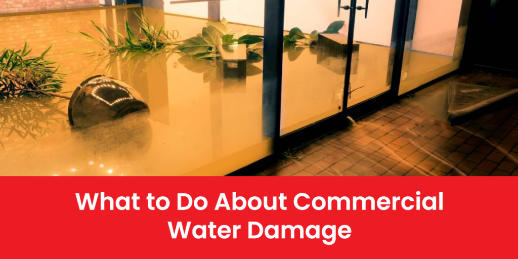 What to Do About Commercial Water Damage: Key Facts