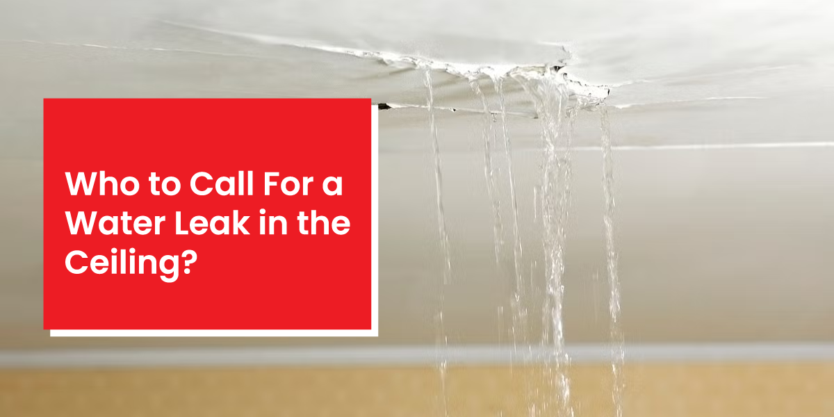 Who to Call for a Water Leak in the Ceiling? Find Out Now!