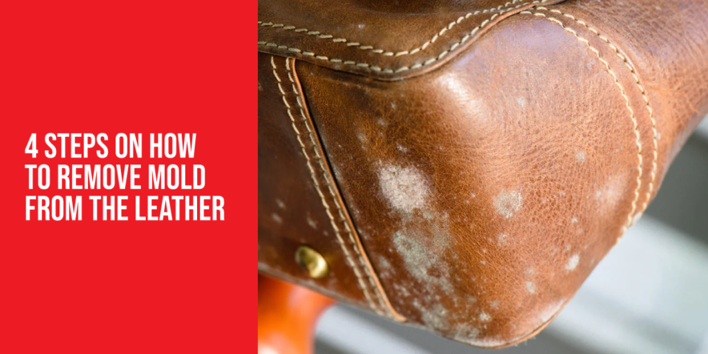 How to Remove Mold from Leather (Safely & Effectively)